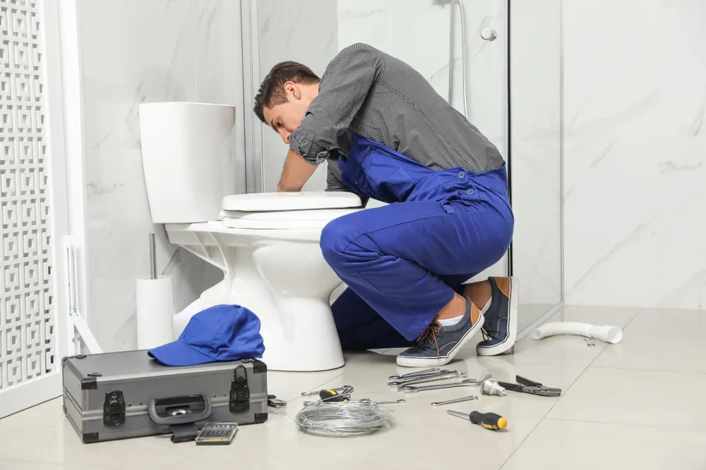 Toilet Repair in Little Creek